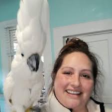 Amanda Waid Mclemore (@mandishouseofparrots)