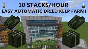 Dec 13, 2020 · welcome to another bedrock edition tutorial video! Minecraft Bedrock Easy Automatic Kelp Farm 1 16 Xbox Ps4 Pe Win10 Youtube