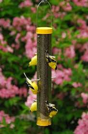 Birds Of Eastern Washington Book Feeders And Accessories Barrie On Finch Feeders Droll Yankee Nyjer Seed