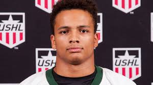 Micah Miller 2017 NHL Draft Profile