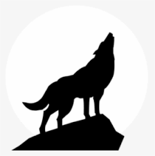 As you can see in the image on the left, i brought the fur out to the right a little bit, to give the wolf some shoulders. Drawing Png Wolf Black Wolf Howling Drawing Transparent Png Transparent Png Image Pngitem