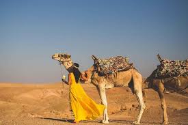 The viscosity of blood in a camel can remain relatively the same even when it is severely dehydrated. Desert Tour Full Day Trip From Marrakech Atlas Mountains With Camel Ride Marriott