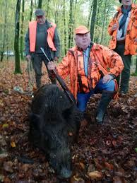 Gavo le 10 août 2010 à 22:38. Ils Abattent Un Enorme Sanglier En Foret De Fougeres La Chronique Republicaine