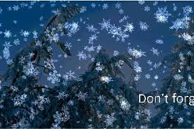 In fact, you can add a variety of wallpapers to windows 10 with animations and 3d effects to give your desktop a little more visual appeal. Animated Wallpaper Snowy Desktop 3d 2 0 Download Free Trial Launch Wallpaper Exe