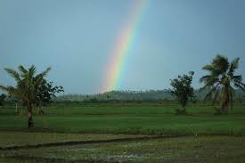Rainbow is a sign of god's promise. God S Word On Sunday Rainbow Offers Sign Of God S Promise