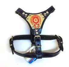 Tasmalar Bohem Gladyator Kopek Gogus Tasmasi Buyuk Boy 60 Ile 95 Cm