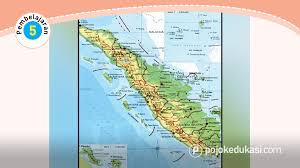 Simak pembahasan kunci jawaban tema 1 kelas 5 sd/mi halaman 42 selengkapnya berikut ini. Lengkap Kunci Jawaban Halaman 40 42 47 48 50 51 Tema 8 Kelas 4 Buku Siswa Tematik K13 Revisi Pojok Edukasi