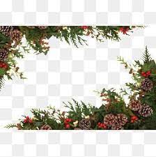 Christmas Greenery Christmas Decorative Elements Creative Christmas Png Transparent Clipart Image And Psd File For Free Download Christmas Decorations Christmas Greenery Creative Christmas