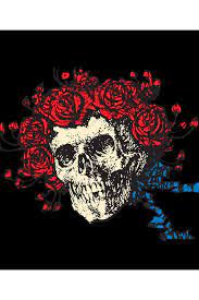 I had a hard run, runnin' from your window i was all night running, running, lord, i wonder if you care i had a run in, run around and run d. Grateful Dead Bertha Skull Roses Fleece Throw Blanket 50 X60 Grateful Dead Merchandise Grateful Dead Fleece Throw Blanket