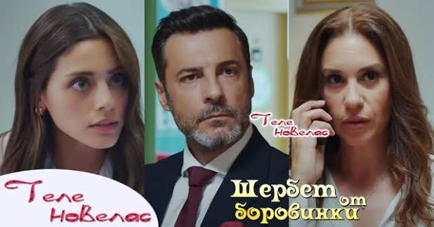 Теленовелас Новини: Утре ПЪРВИЯ епизод на "Шербет от боровинки": Бременност  и бивш съпруг (9 декември)
