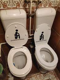 Maybe you would like to learn more about one of these? Placing These Two Toilets Right Next To Eachother Is Dumber Than The Joke 9gag