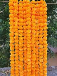 We did not find results for: Marwari Arts Toran Bandarwal Pack Of 5 Genda Phool Flower Garland Door Hanging Orange Artificial Flowers Marigold Fluffy Garlands Home Mandir Pooja Room Temple Diwali Decoration Plastic Garland Price In India