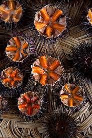 Fresh Local Mediterranean Sea Urchins En 2020 Gastronomie Fruits De Mer Animaux De La Mer