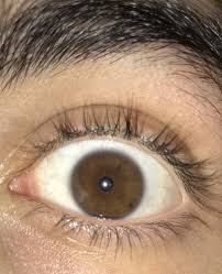 The phrase apple of my eye (or similar) occurs in several places in the king james bible translation from 1611, and some subsequent translations: What Does It Mean When Someone Says You Have Piercing Eyes Quora