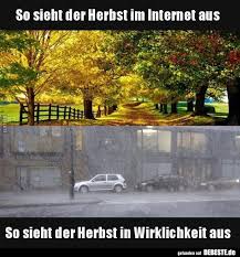 So Sieht Der Herbst Im Internet Aus So Sieht Der Herbst Herbst Lustig Herbst Spruch Bilder