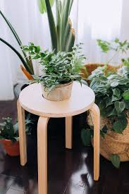 Got Houseplants From Stool To Plant Stand This Ikea Hack Is Simply Awesome Hunker Ikea Plant Stand Ikea Plants Plant Stand