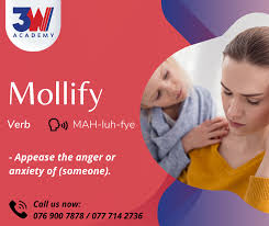 نتیجه جستجوی لغت [mollify] در گوگل