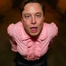 Why does Elon do things like this?!