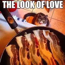 The look of love ))) — Steemit