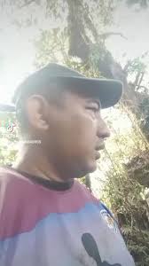 Corybas, commonly known as helmet orchid, orkid terkecil di Dunia #orkid  #orchidlover #cameronhighlands #gunungsiku