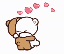 Cute Bear Gifs Tenor Tenor will be adopting the google terms of service and privacy policy for all accounts starting on march 3, 2021.