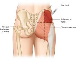 Testosterone Cypionate A Medical Guide Ftm Magazine