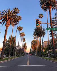 Interior designer and architectural designer resource. Los Angeles On Instagram Beverly Hills Curated By Skyline Specs L A L Los Angeles Wallpaper California Travel Los Angeles Travel