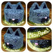 Bleupaws British Shorthair Singapore British Shorthair