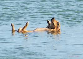 Image result for hot weather