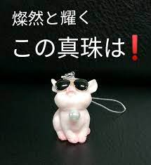 再販です 絶対可愛い まるで西武警察に出てくるみたいな大門警部のray ban風サンクスで超 生意気なだぶたさんヽ zh ノブッでも いっちょまえに真珠をしっかり抱えて守る所は大門警部に負けません 笑 超絶かわいい 大門ぶたさんは数に限りがありま