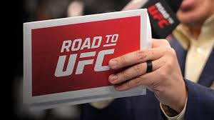 Road to UFC Shanghai: Free Fight Night Live Stream Results & Highlights