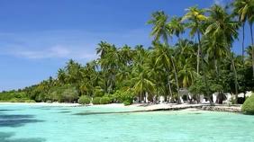 Resort Beach Zoom Virtual Background Video Template Postermywall