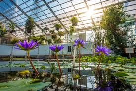 Botanischer garten ticket price, hours, address and reviews. Willkommen Im Paradies Native Touris