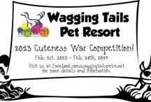 Welcome to wag'n tails pet resort, where we've been welcoming pets from the greater lansing area for over 20 years! Wagging Tails Pet Resort Waggingtailspr Profile Pinterest