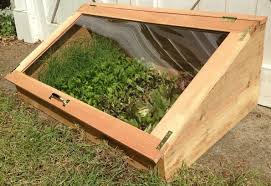 Petite Serre De Jardin Choix Et Conseils Cold Frame Gardening Cold Frame Cold Frame Diy