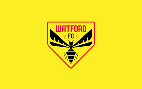 Can't find what you are looking for? Watford Fc Andrew Greif Design Illustration
