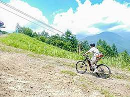 暮らし トリック オア トリートのお菓子はココへ 紙コップのハロウィンバッグ 家電 watch 夏休み 工作 ペットボトル コースター 手作り 上辺