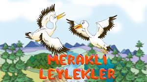 merakli leylekler hayvanlar gocmen kuslar goletler