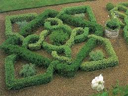 Westie Art Garden Boxwood Swirls And Twirls Art Formal Garden Design Boxwood Garden Herb Garden Design
