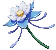 I wanted to make a bouquet from the flowers in liyue. Genshin Impact Where To Find The Glaze Lily Pro Game Guides