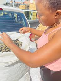 For sale. P120 each packet. Call 74449108 🦋🦋