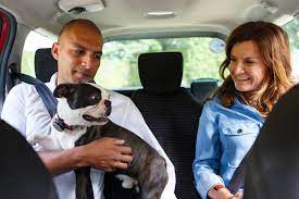 Order food online or in the uber eats app and support local restaurants. Uber Riders Can Now Bring Pets On Trips In Boston
