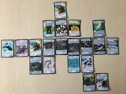 The gameplay is a bit slower than you'd hope for, the. Pokemon Like Card Game Can Help Teach Ecology Ubc Research Welcome Michael Smith Laboratories