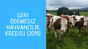 Tarım ve hayvancılıkla uğraşan ve sermayesi bulunan vatandaşlara dair verilen kosgeb tarım ve hayvancılık hibe destekleri, şuana kadar pek çok kişinin kendi işini kurmasını sağlamıştır. Geri Odemesiz Hayvancilik Kredisi 2021 Hibe Ve Sifir Faiz Metfinans
