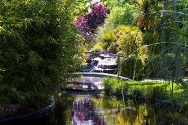 Maybe you would like to learn more about one of these? El Jardin De Tegueste Home Facebook