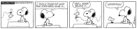 Thepntsgang Pnts Peanuts Schulz Snoopy Woodstock Stupid Birds Name Never Believeit Woodstock 1969 Music Peanuts Comic Strip