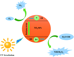 Call aa pest management today for tips on effective control for these pests! Perspectives On Plasma Assisted Synthesis Of N Doped Nanoparticles As Nanopesticides For Pest Control In Crops Reaction Chemistry Engineering Rsc Publishing
