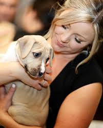 🐶 The @bcspca Victoria is hosting their Offleashed Gala