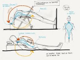 Navigate To The Initial Website Around Yoga Streches Posturas De Yoga Yoga Iyengar Clase De Yoga