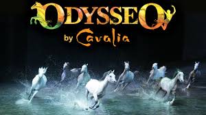 Image result for cavalia nashville